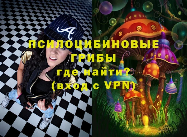 мдпв Новозыбков