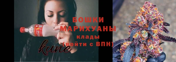 мдпв Новозыбков