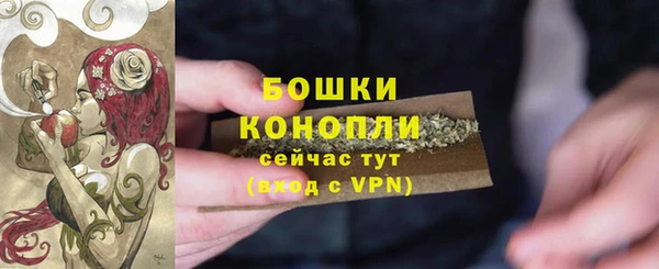 мдпв Новозыбков