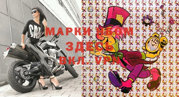 мдпв Новозыбков